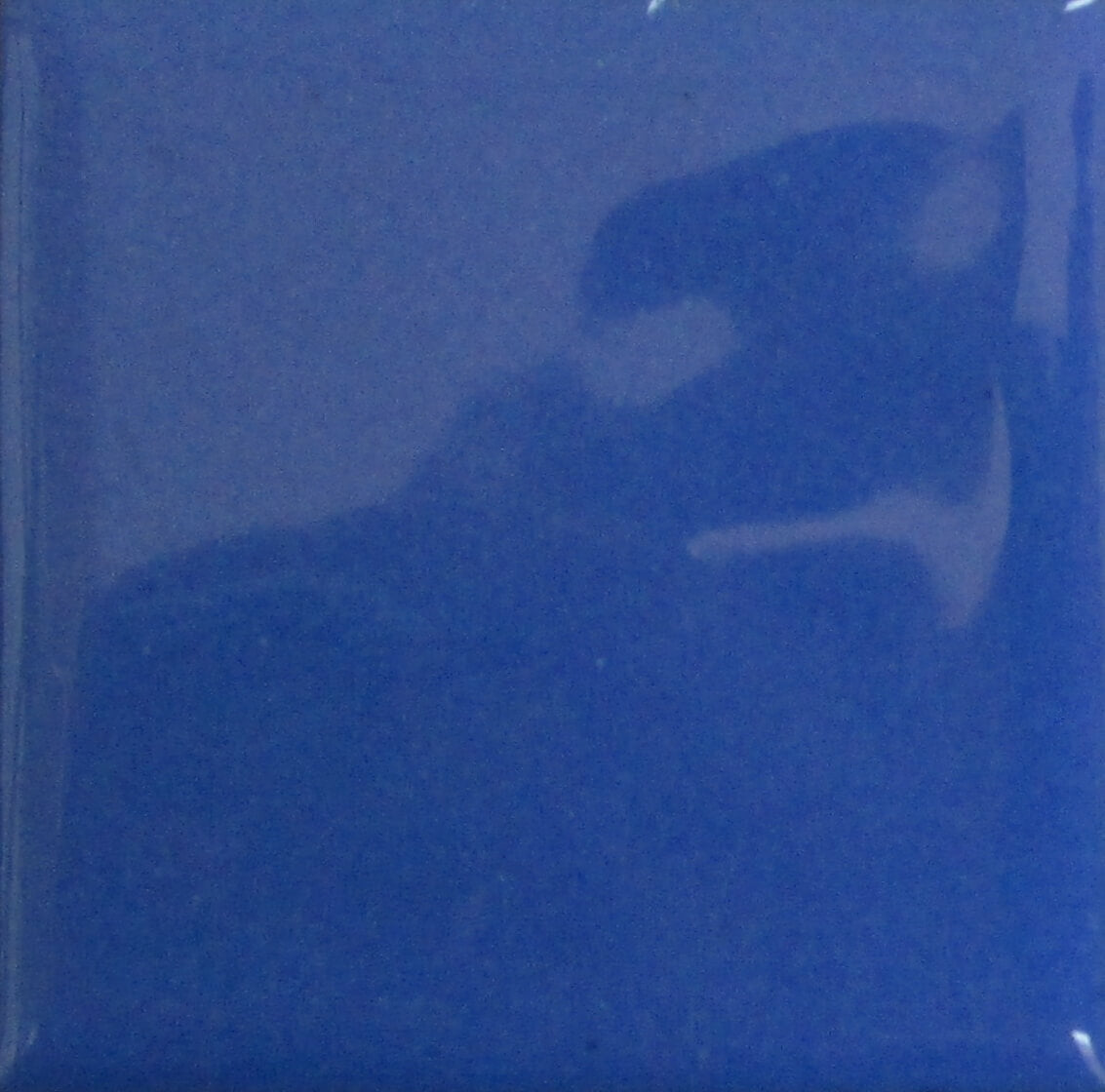 1645 Bleu récolte (A) - 1 oz