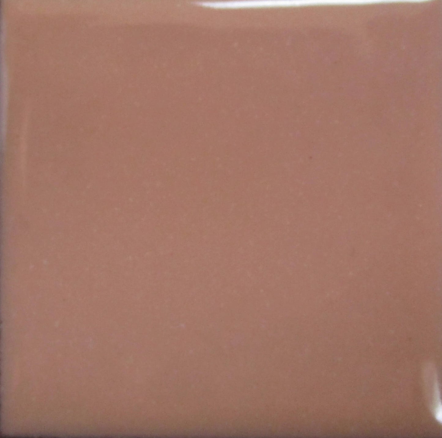 1710 Rose Suif (G) - 28 g
