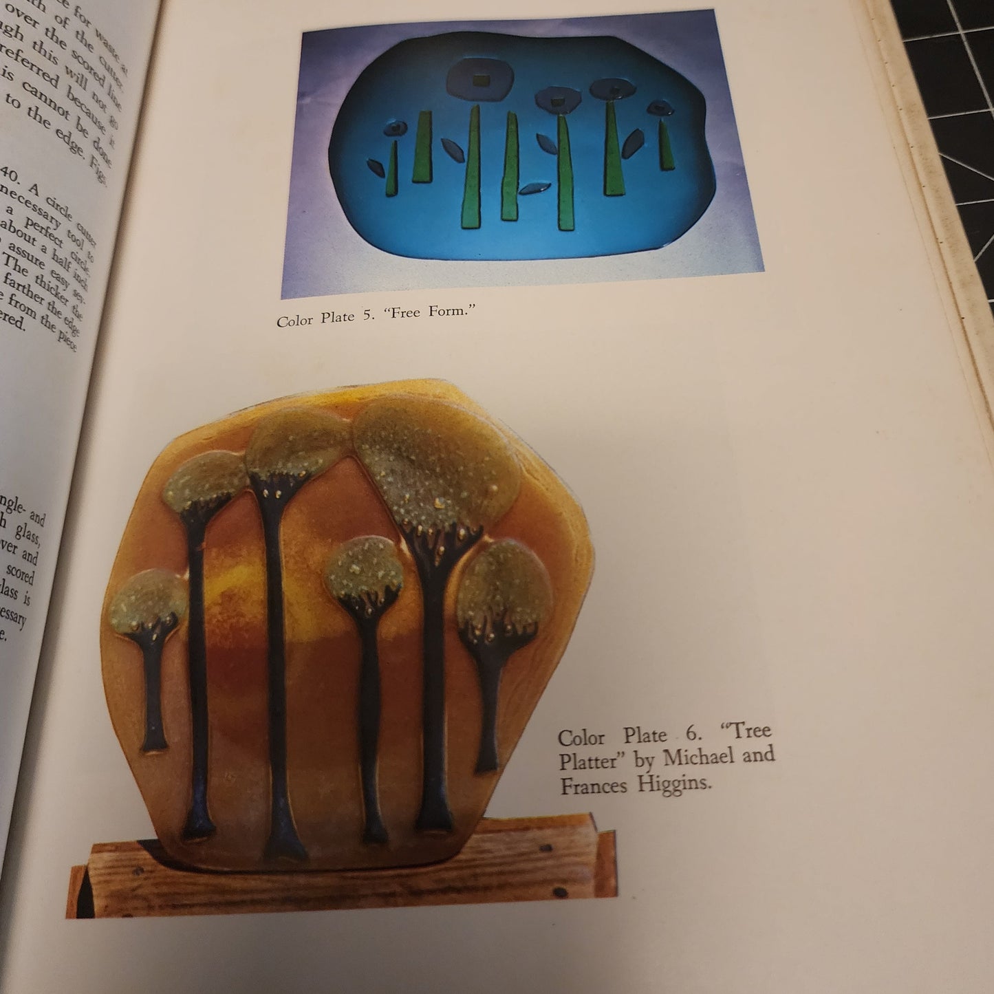 The Emporium Book Shelf  - Kiln-Fired Glass by Hariette Anderson
