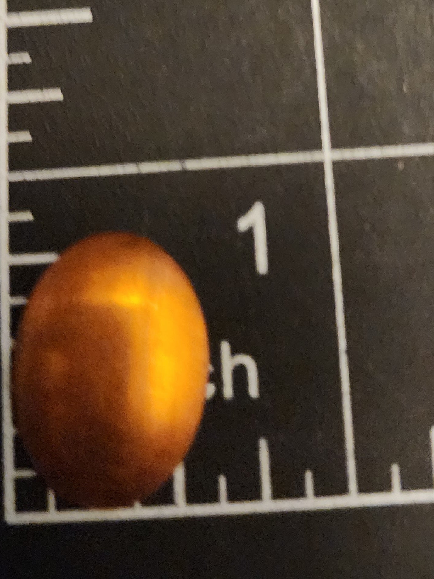 EV061 Copper Blank Oval - Small Domed