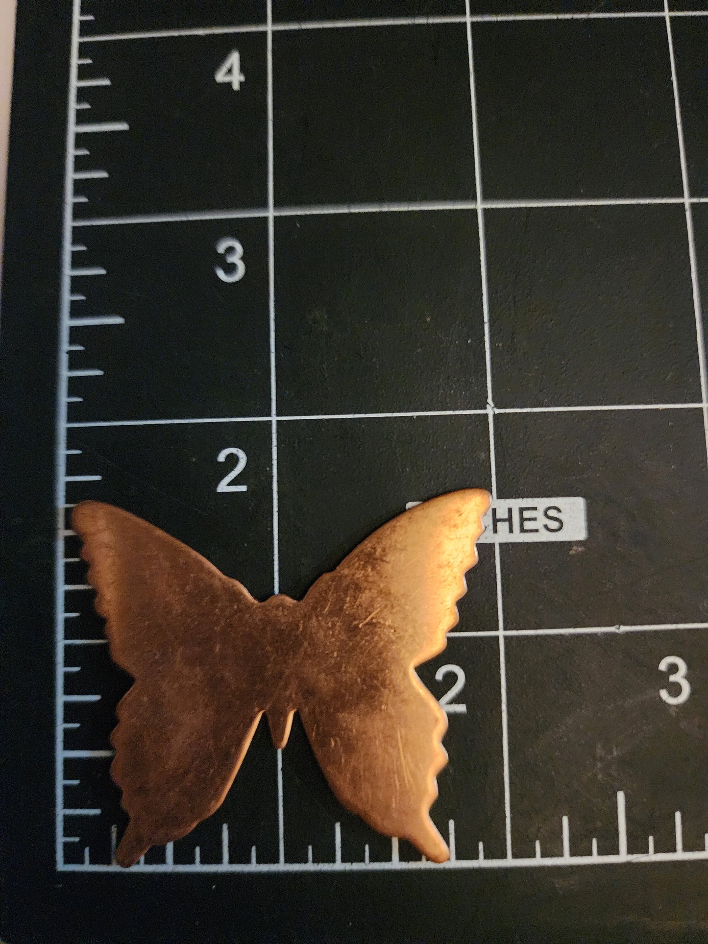 EV067  Copper Blank Nature - Large SWALLOWTAIL BUTTERFLY