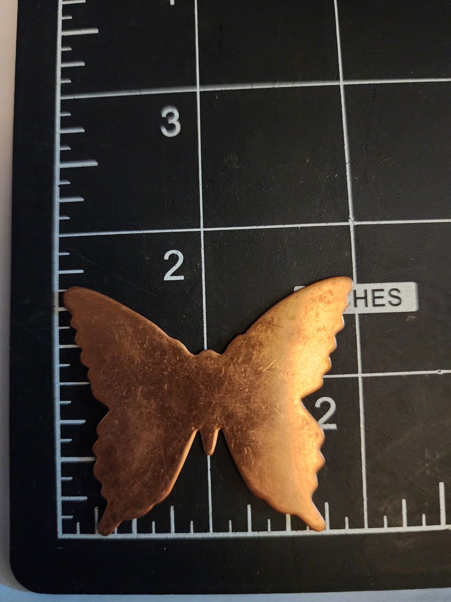 EV067  Copper Blank Nature - Large SWALLOWTAIL BUTTERFLY