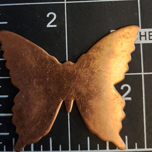 EV067 Copper Blank Nature - Large SWALLOWTAIL BUTTERFLY