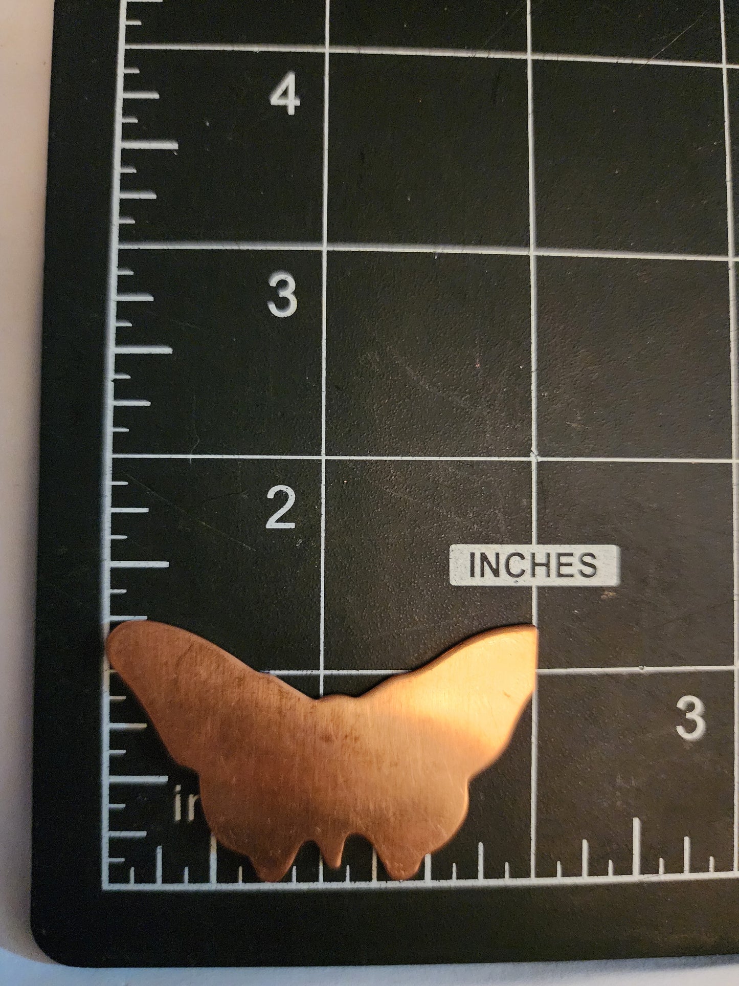 EV075 Copper Blank - Nature - Wide Butterfly