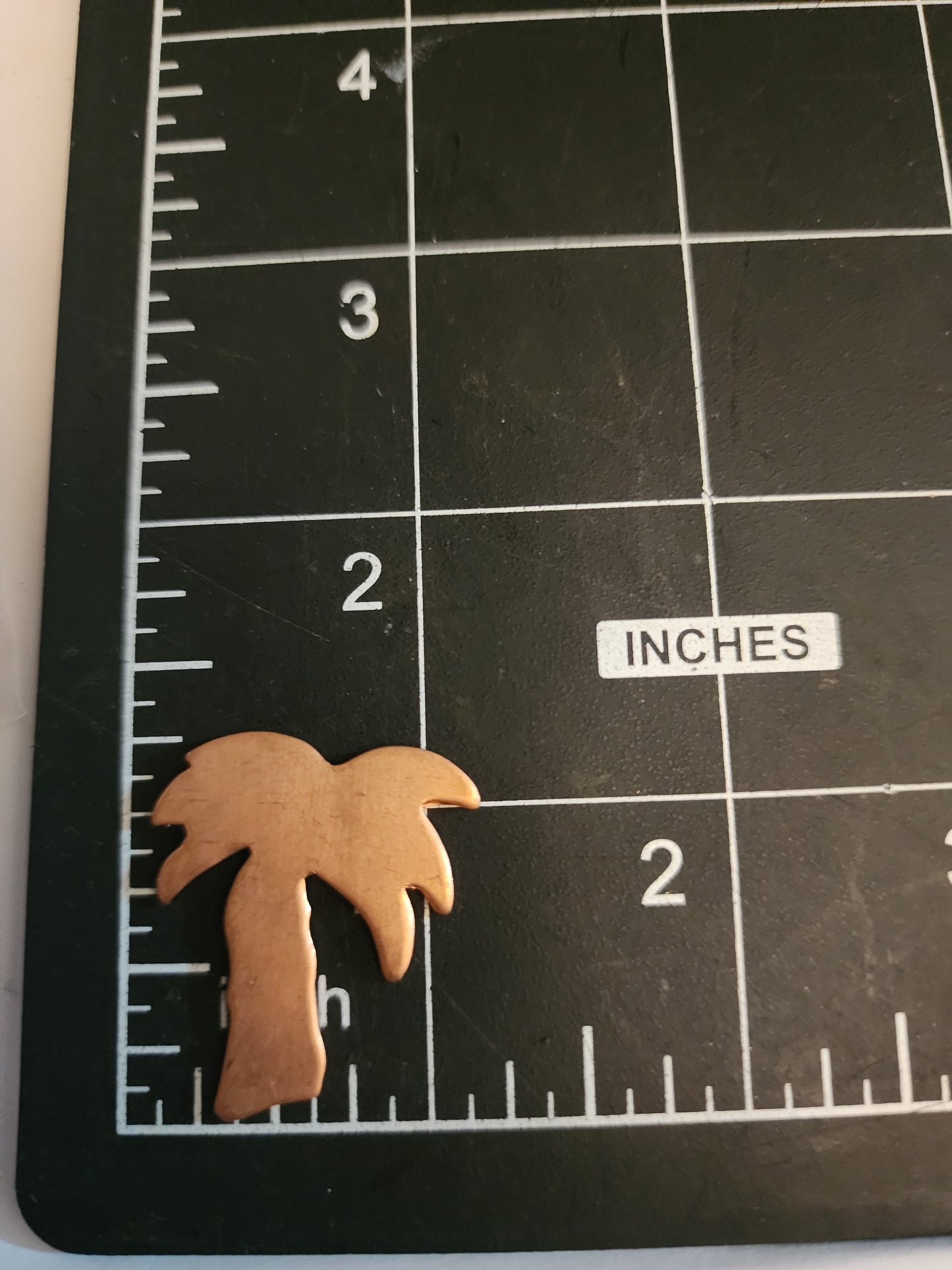 EV083 Copper Blank Nature - Palm Tree