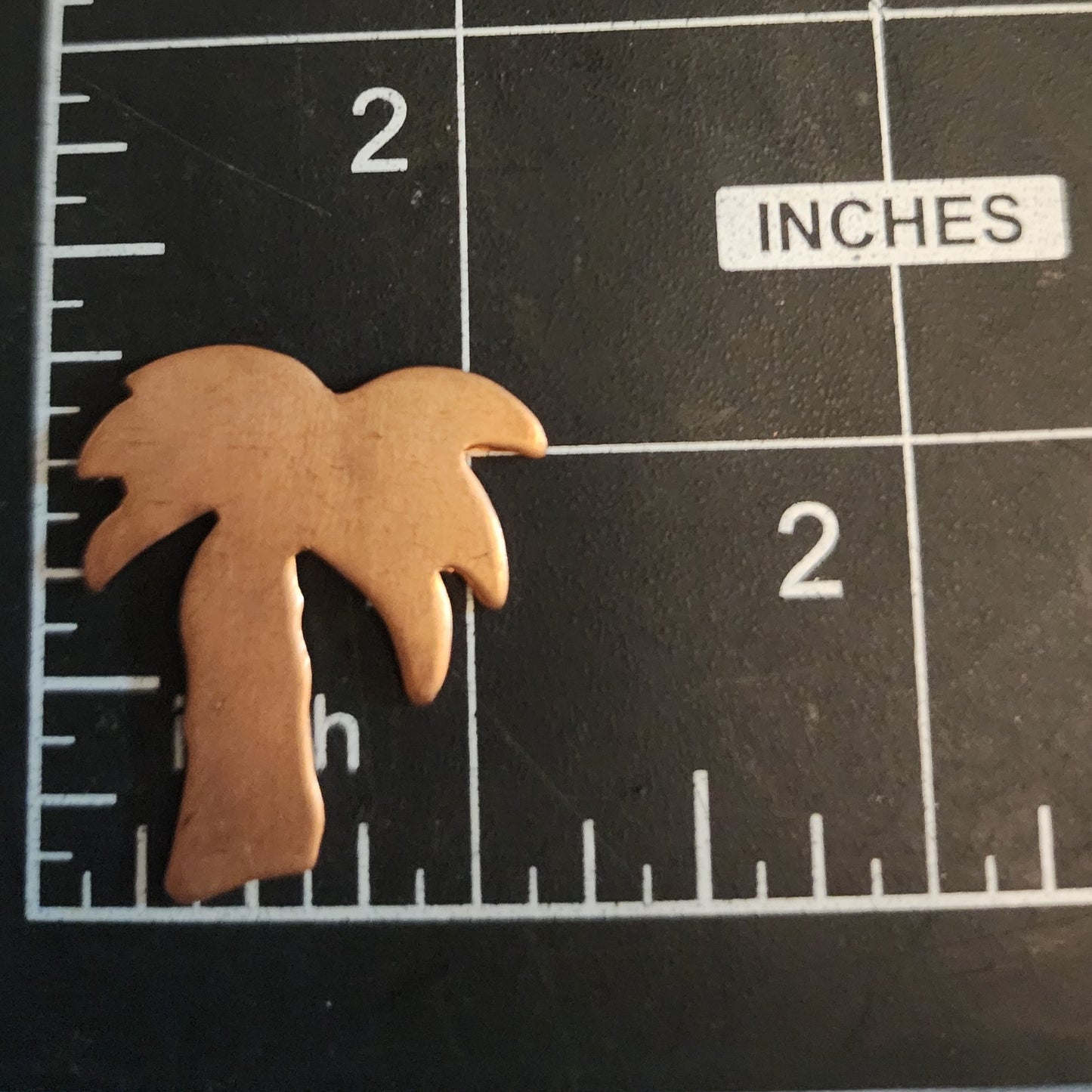 EV083 Copper Blank Nature - Palm Tree