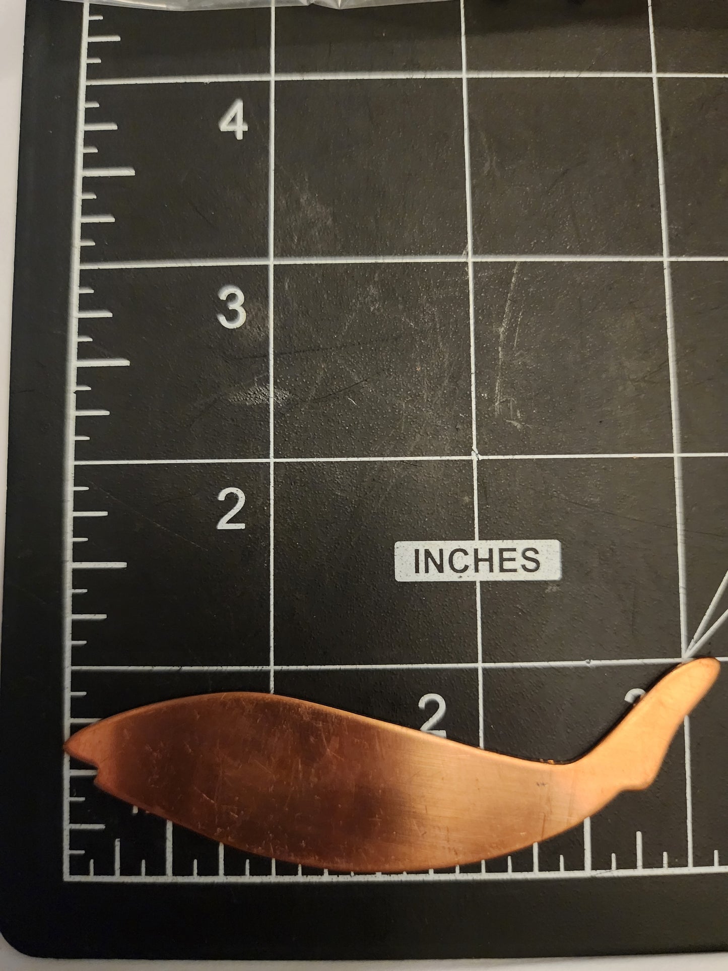 EV097 Copper Blank Nature -Large Whale