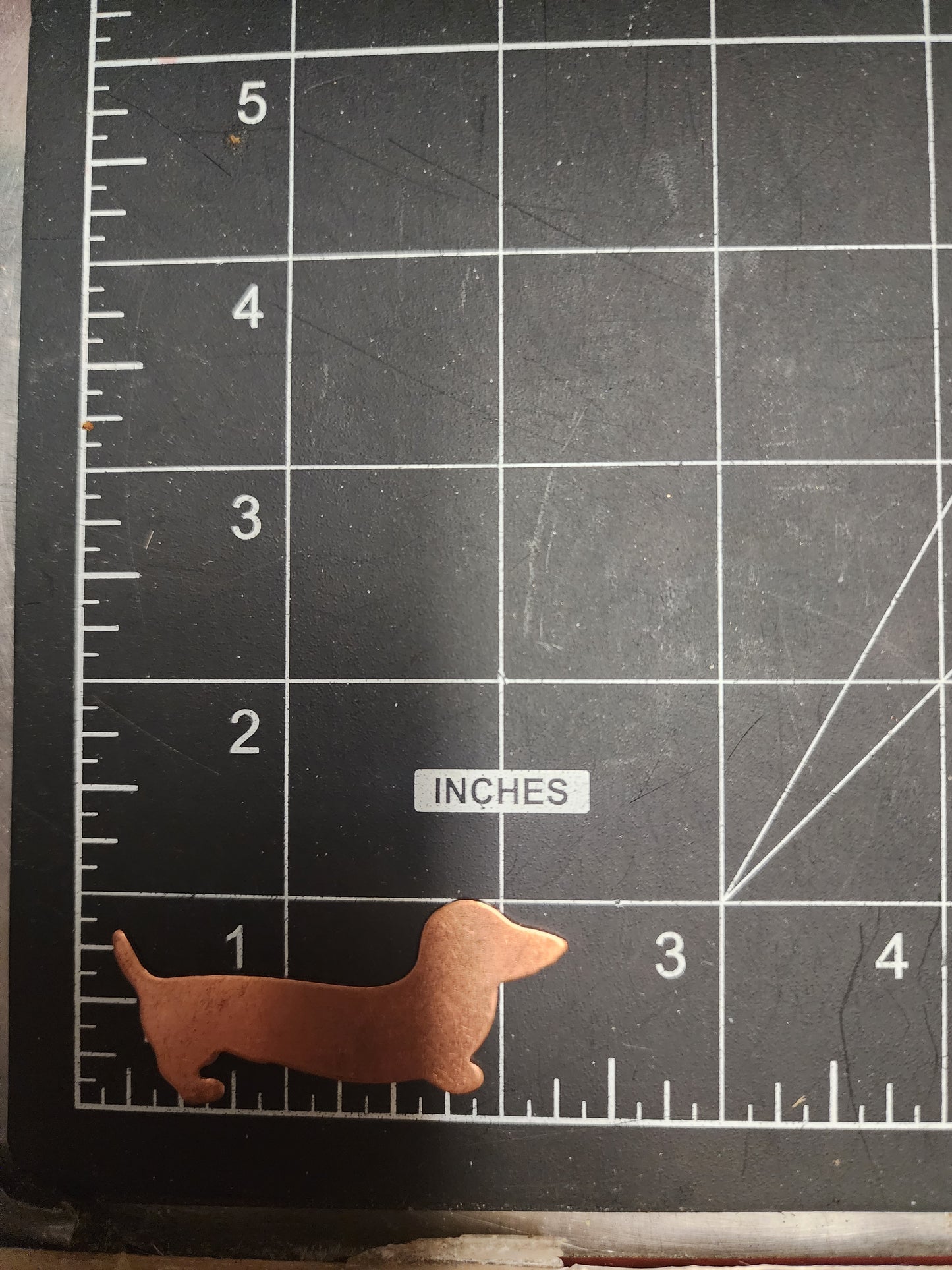 EV081 Copper Blank Nature  - Dachshund Dog