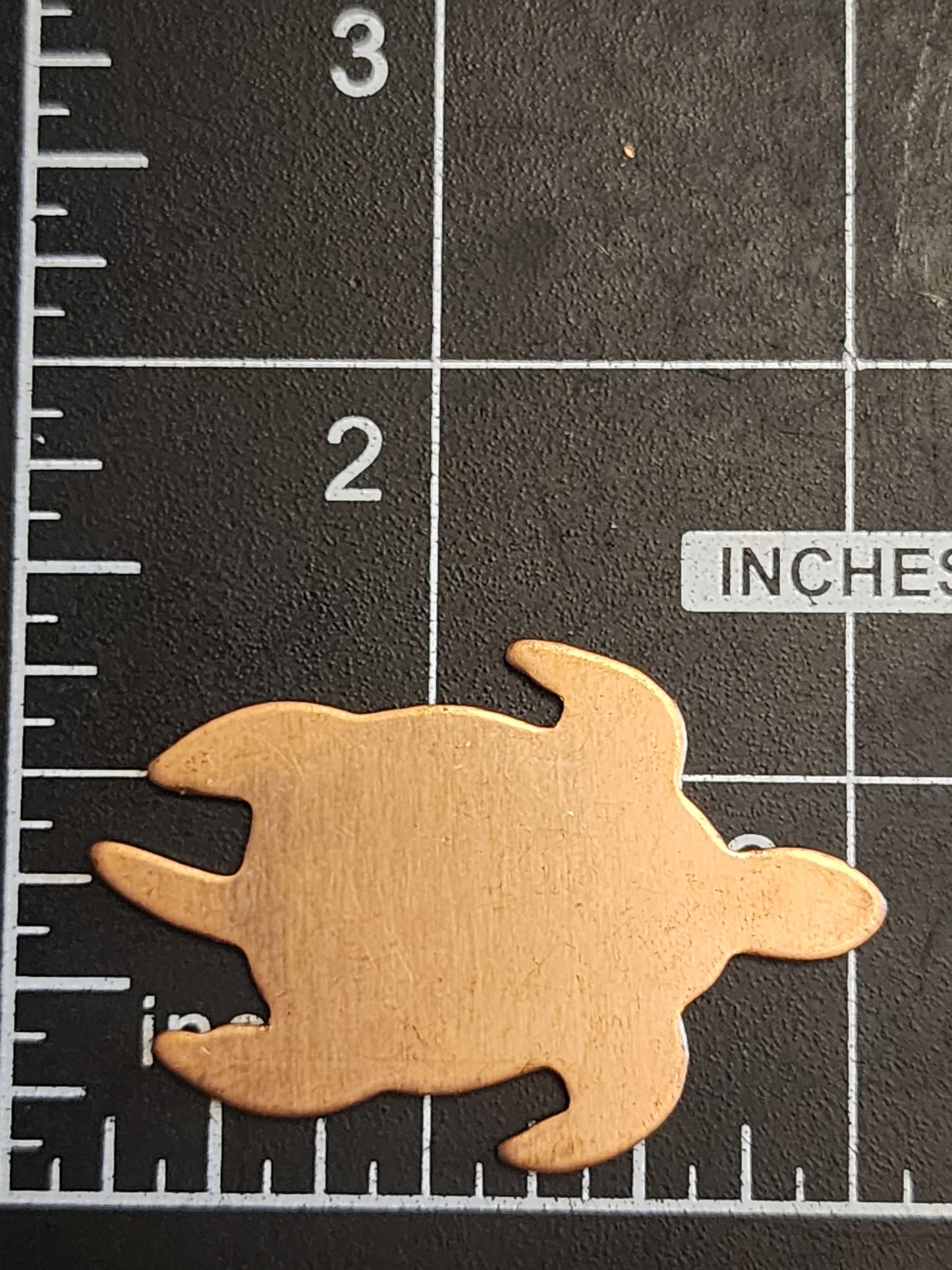 EV166 Copper Blank Nature - Sea Turtle