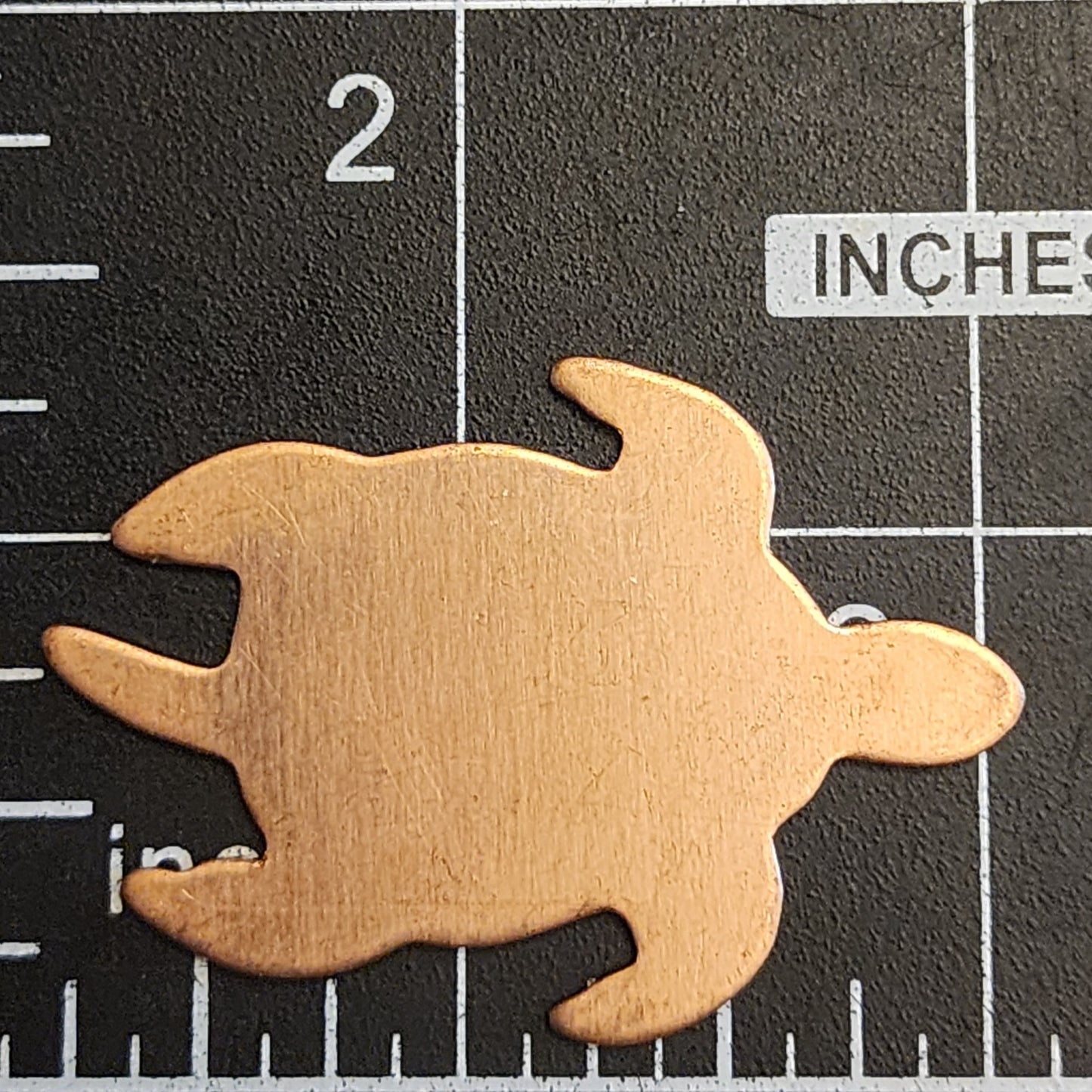 EV166 Copper Blank Nature - Sea Turtle