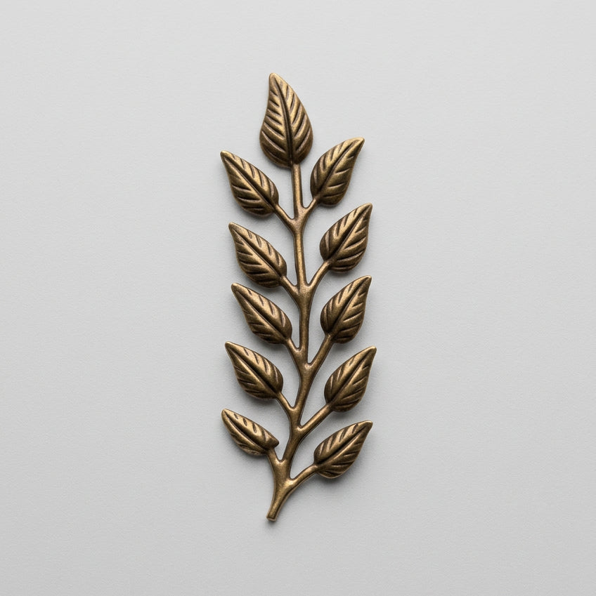 EVB100 Brass Blank for Powder Coat or Embellishment