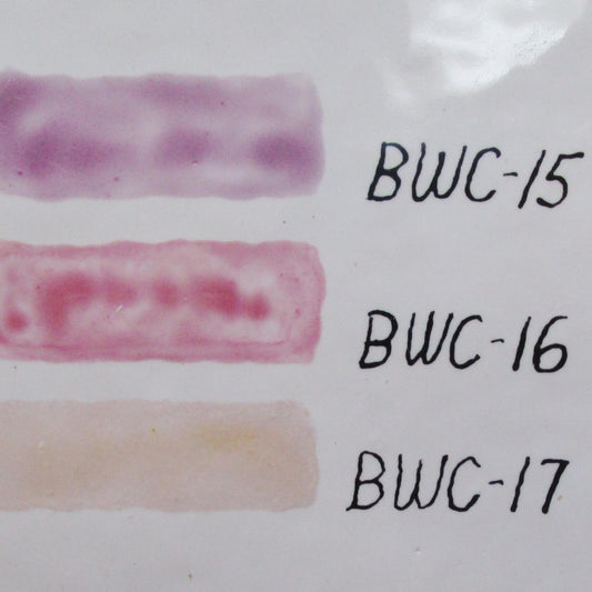 BWC Watercolour Enamel Paint -Set of Special Blends