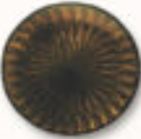 Schauer Jewellery Enamel - Transparent 102 Olive Brown  - 1 oz