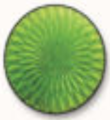 Schauer Jewellery Enamel - Transparent 20A Yellow Green - 1 oz