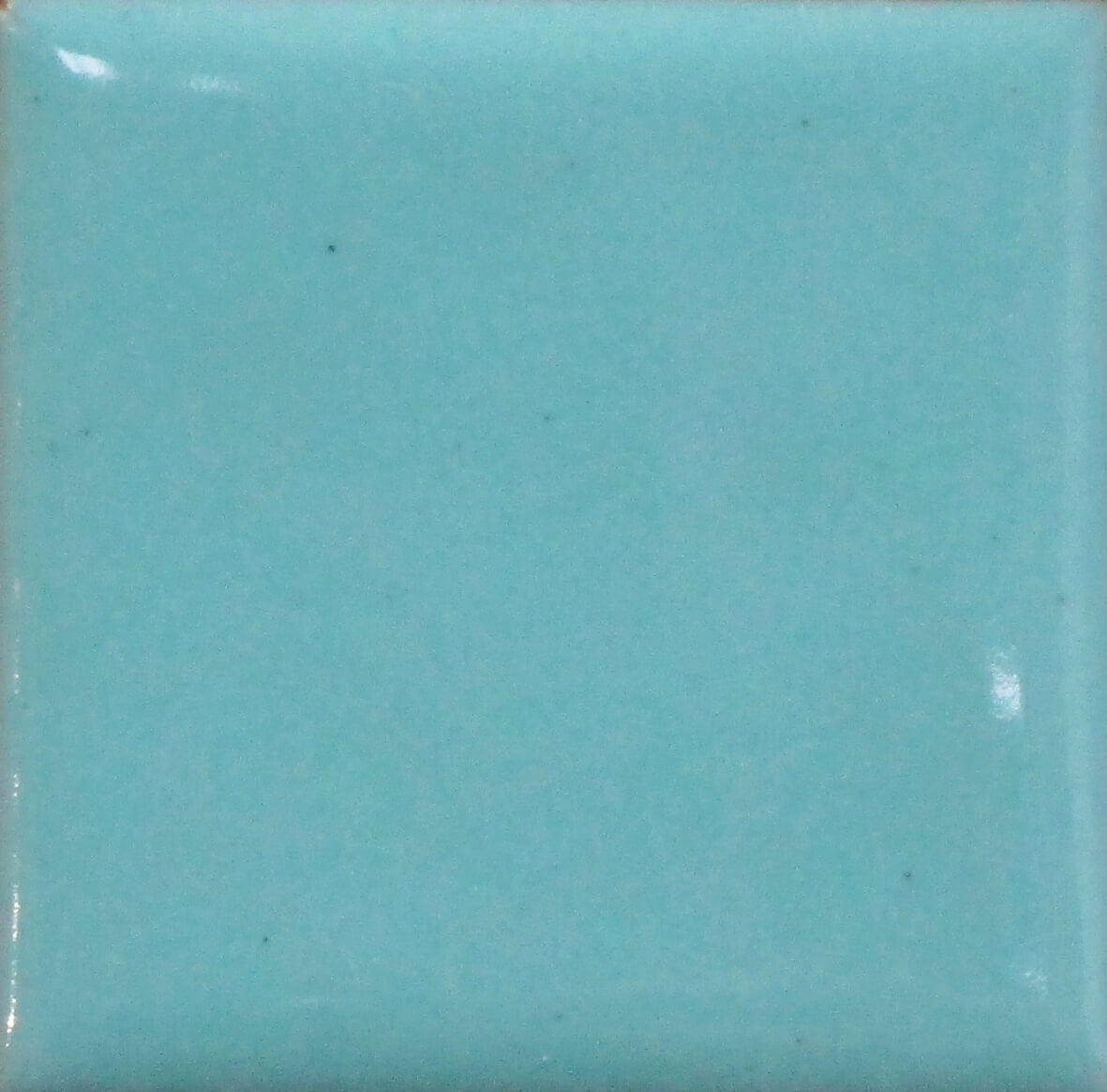 1422 Aquamarine - 1 oz