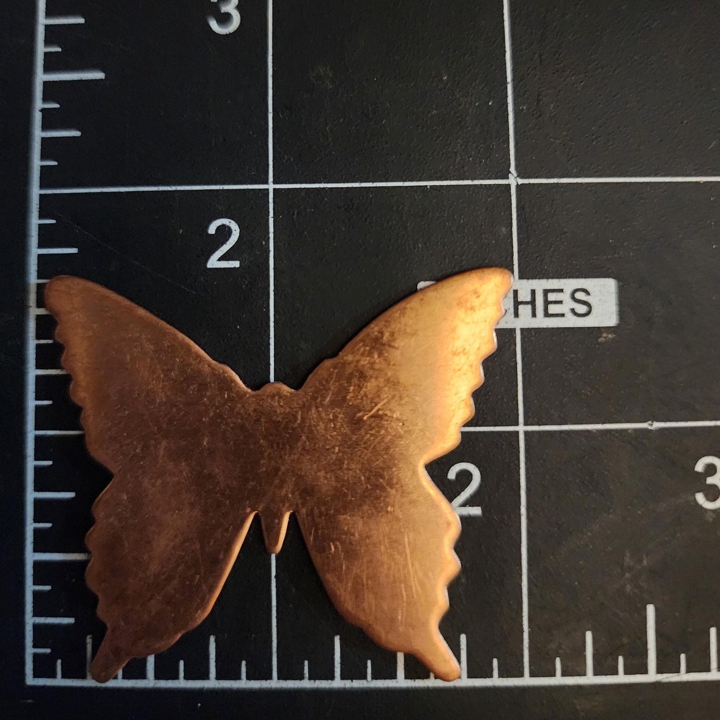 EV067  Copper Blank Nature - Large Detailed Butterfly