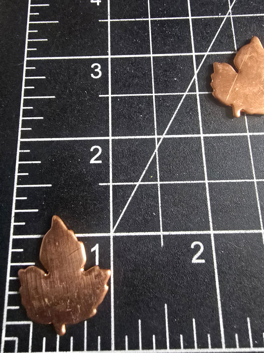 EV074 Copper Blank Nature - Small Leaf