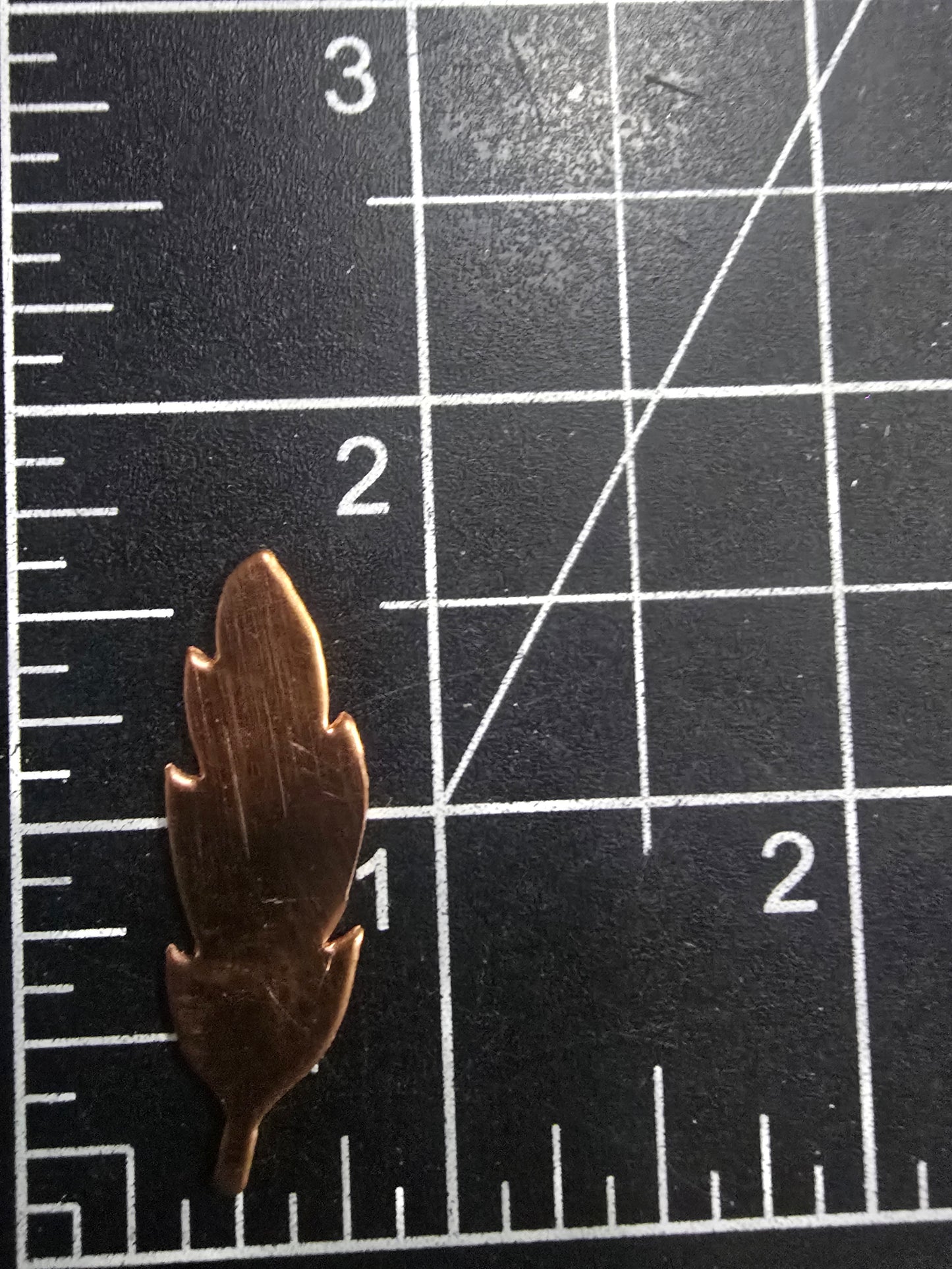 EV215 Copper Blank Nature- Feather