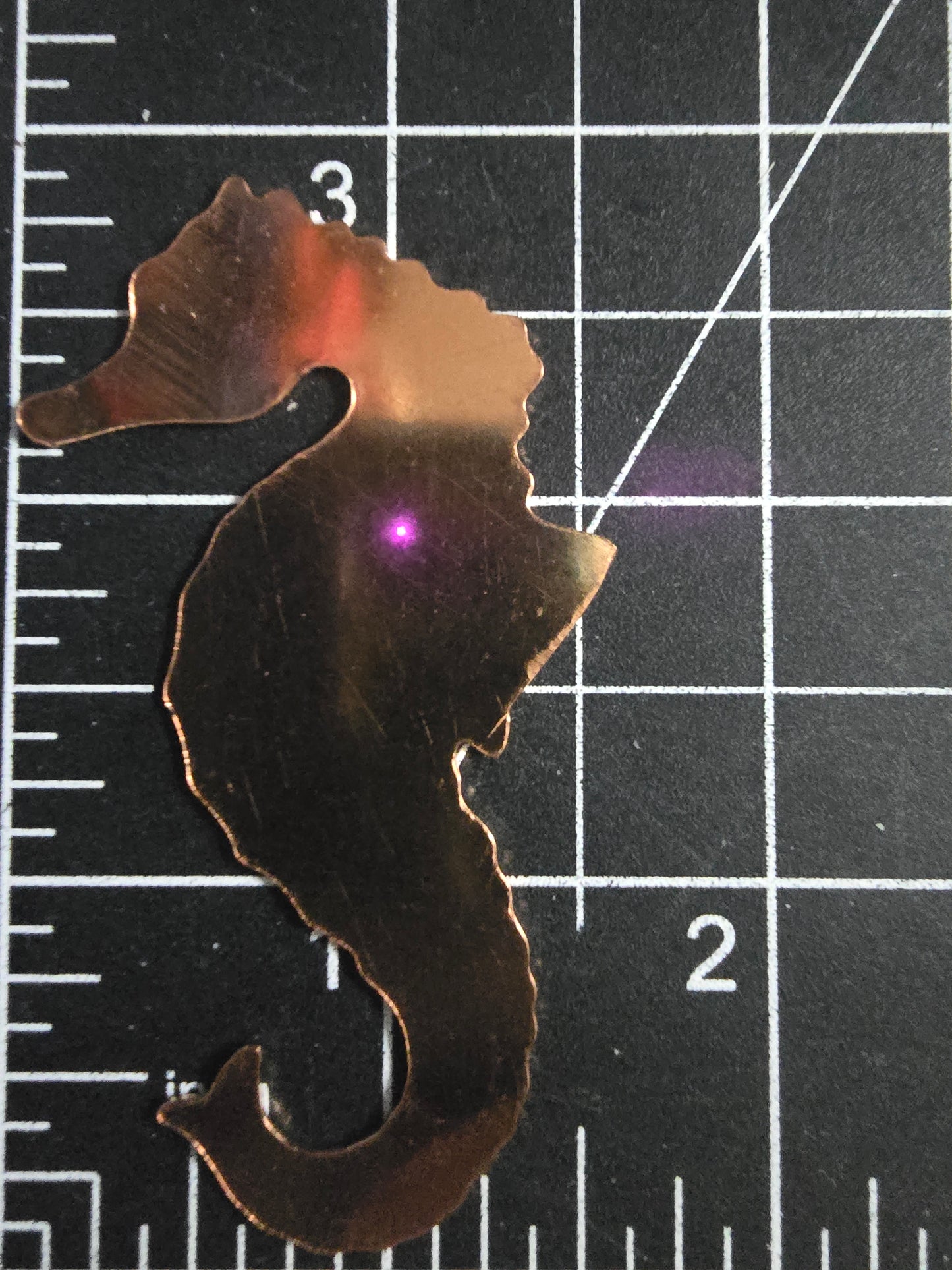 EV185 Copper Blank - Large Sea Horse