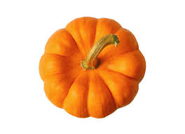 1850 Pumpkin (C)- 1 oz